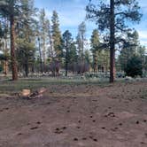 Review photo of North of 4 Tanks by Icy B., May 3, 2026