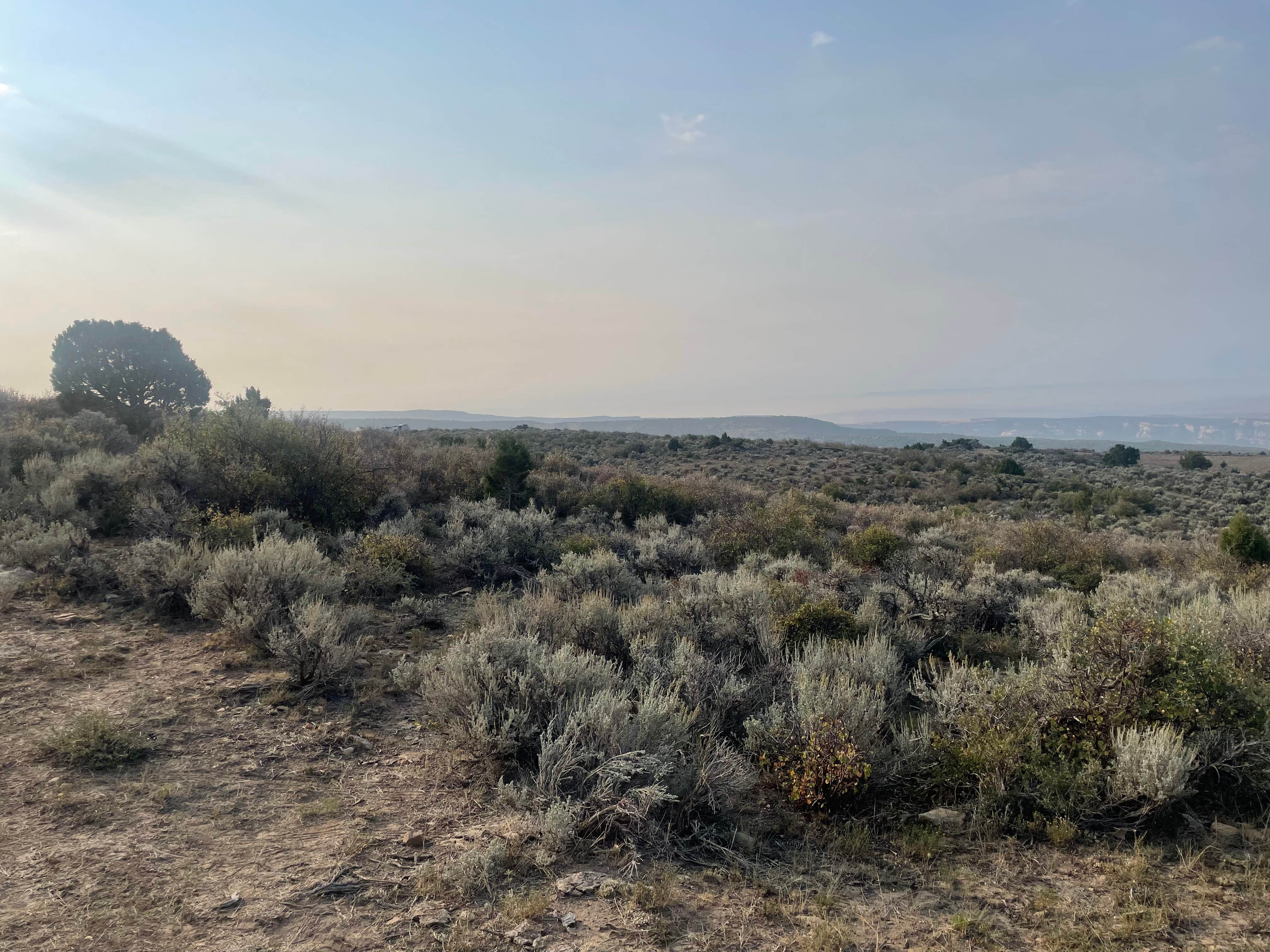 Camper-submitted photo at North of Dinosaur CR16 - Dispersed Site near Dinosaur, CO