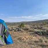 Review photo of North of Dinosaur CR16 - Dispersed Site by Faye N., September 5, 2025