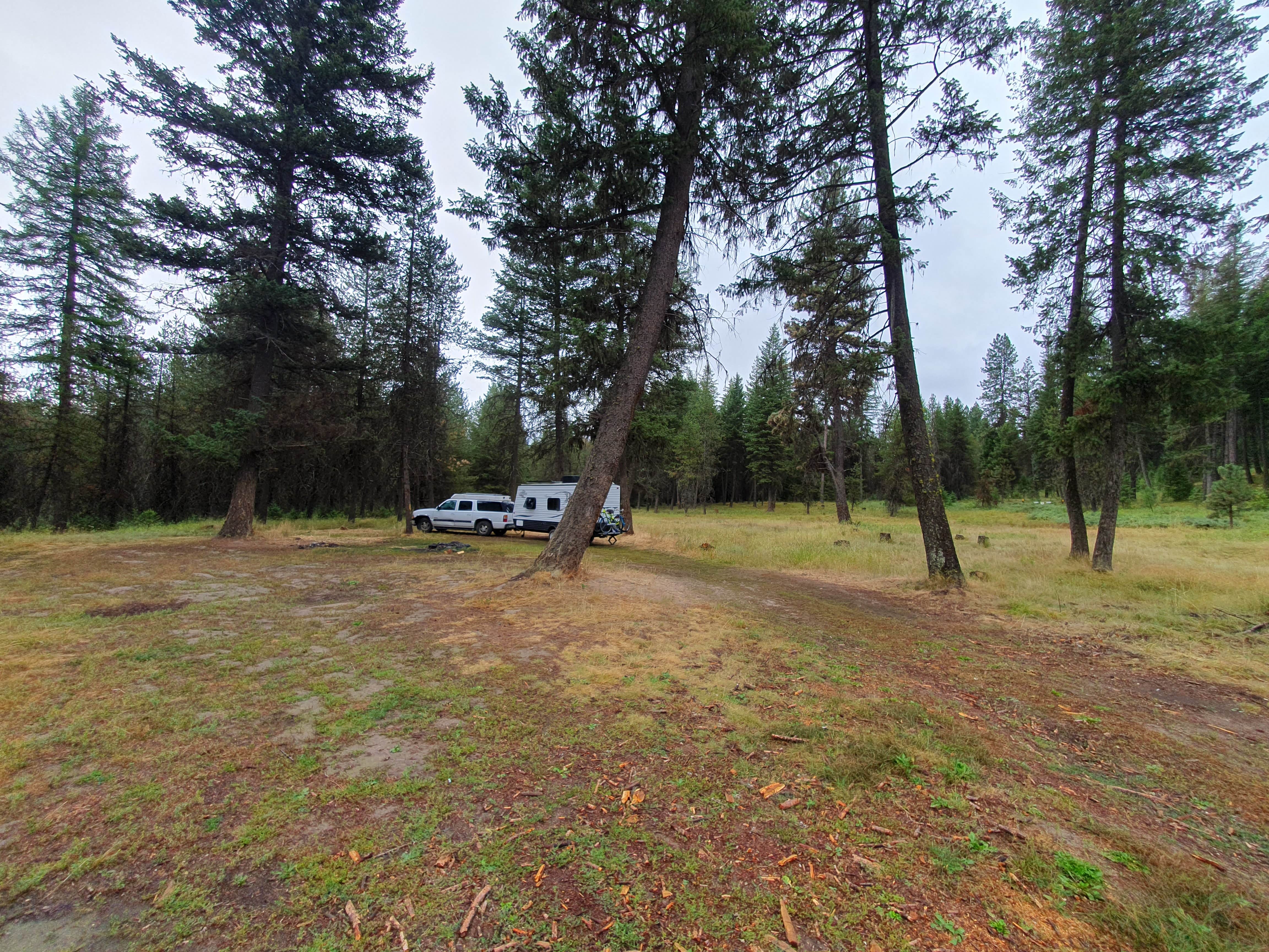 Camper-submitted photo at North of Spring Creek on Forest Road 21 near Elgin, OR