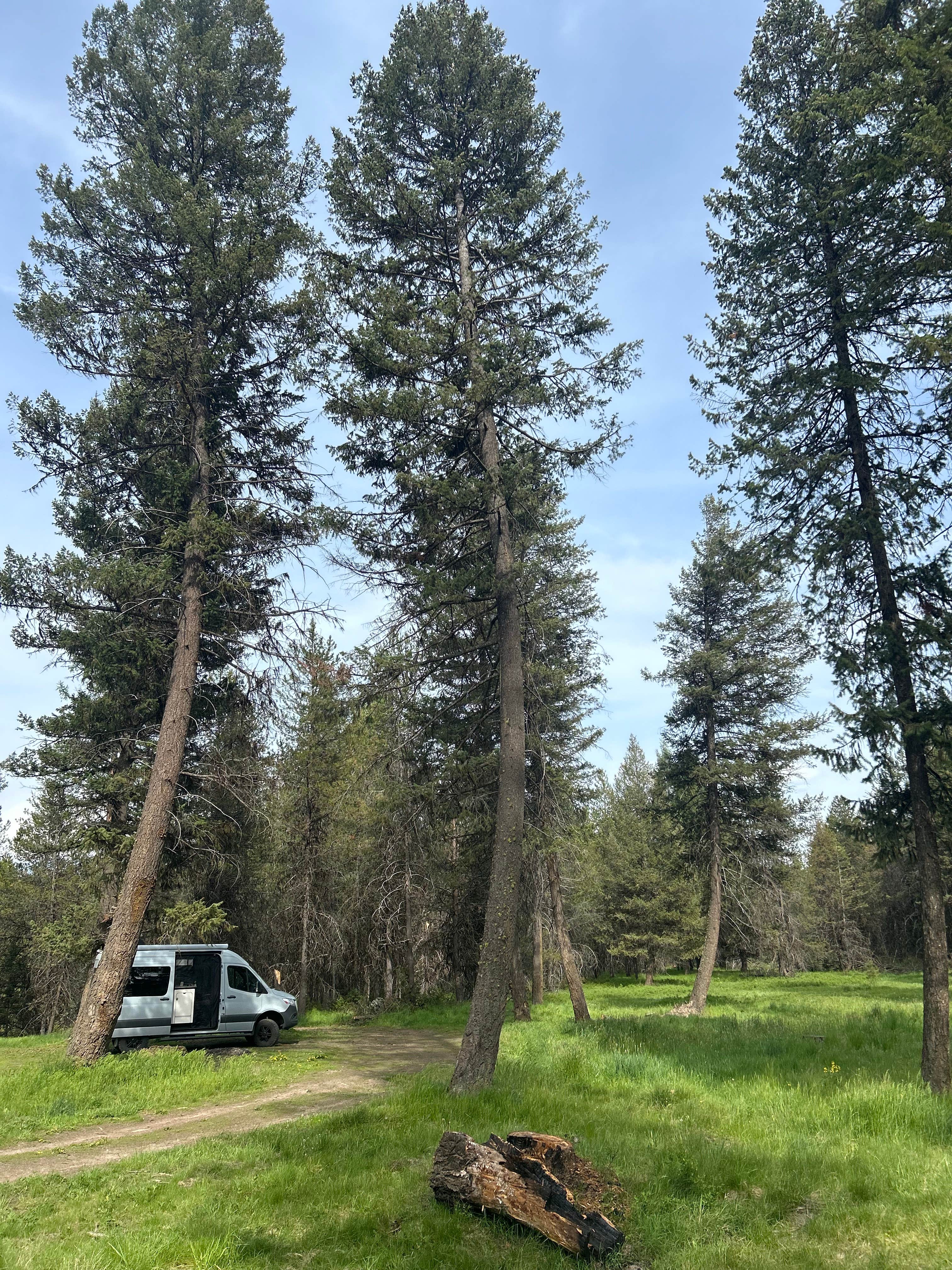 Camper-submitted photo at North of Spring Creek on Forest Road 21 near Elgin, OR