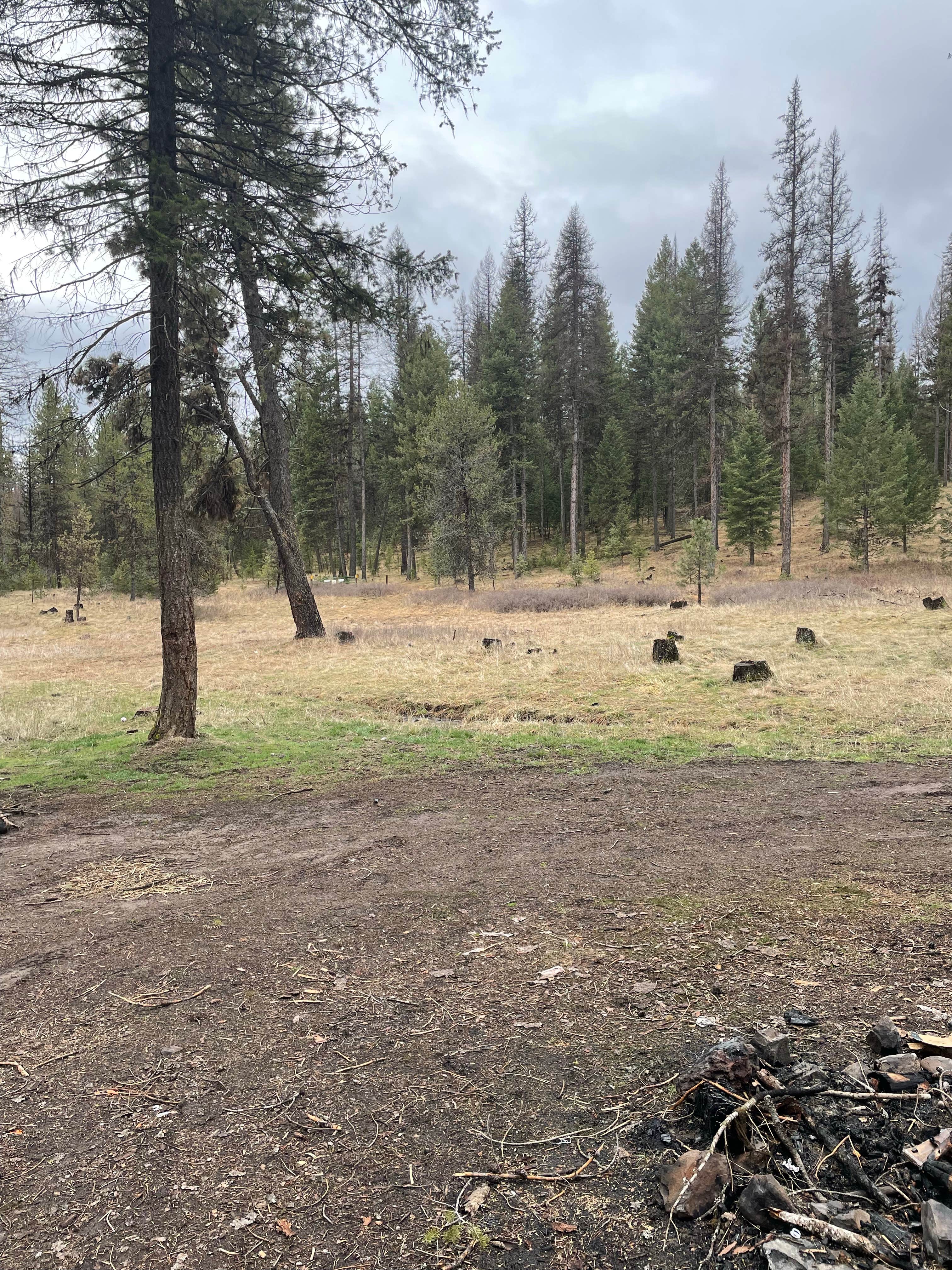 Camper-submitted photo at North of Spring Creek on Forest Road 21 near Island City, OR