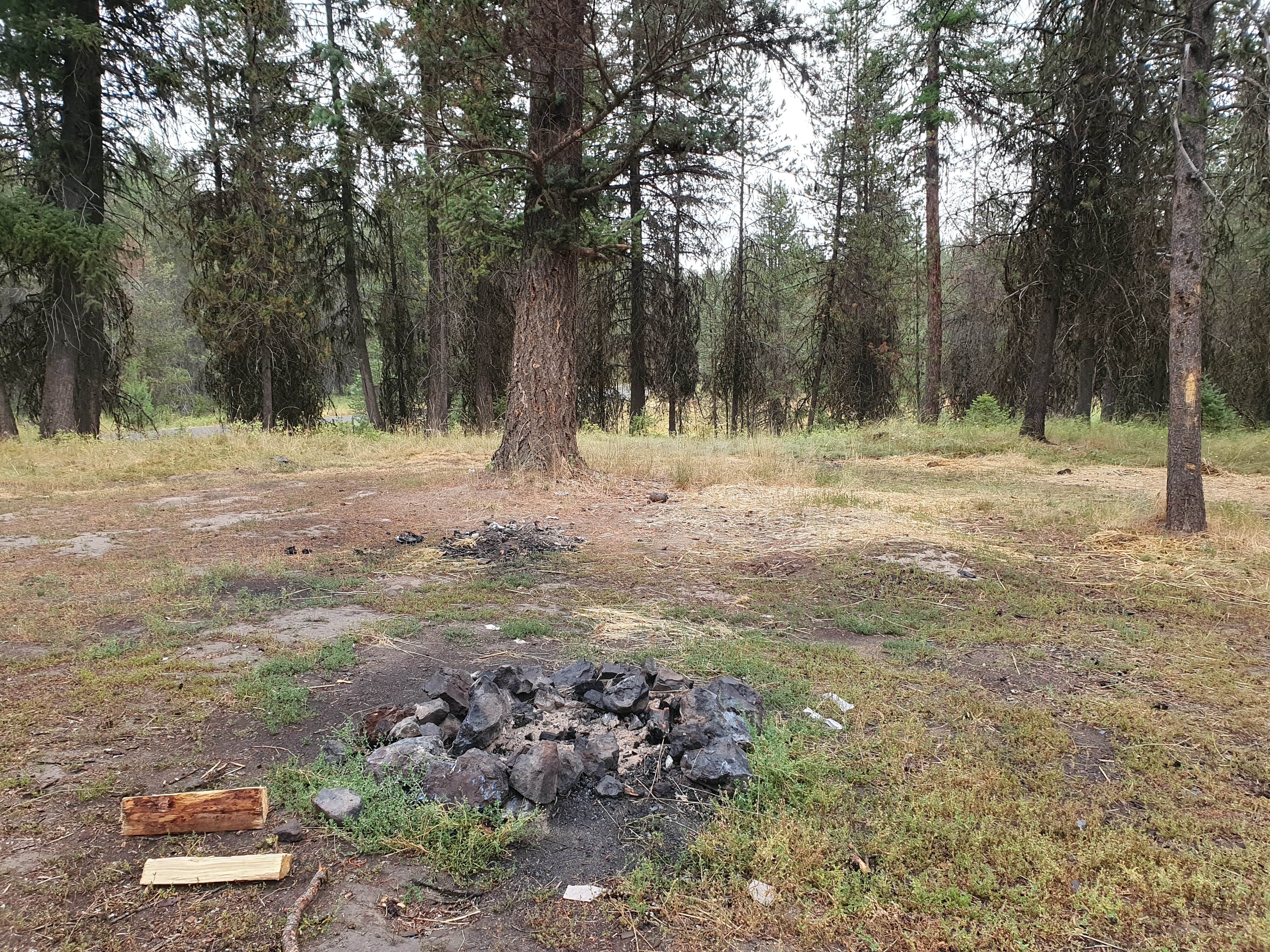 Camping near Summit Guard Station Bunkhouse: North of Spring Creek on Forest Road 21, La Grande, Oregon