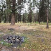 Review photo of North of Spring Creek on Forest Road 21 by Ibeya A., August 7, 2025