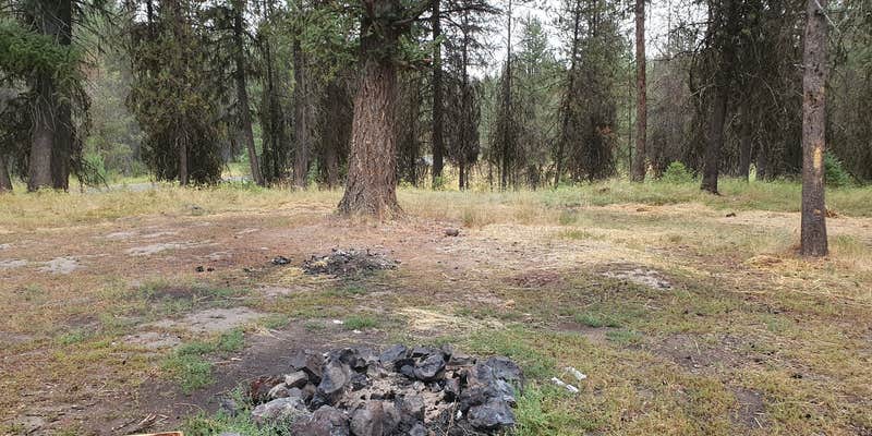 Camper submitted image from North of Spring Creek on Forest Road 21