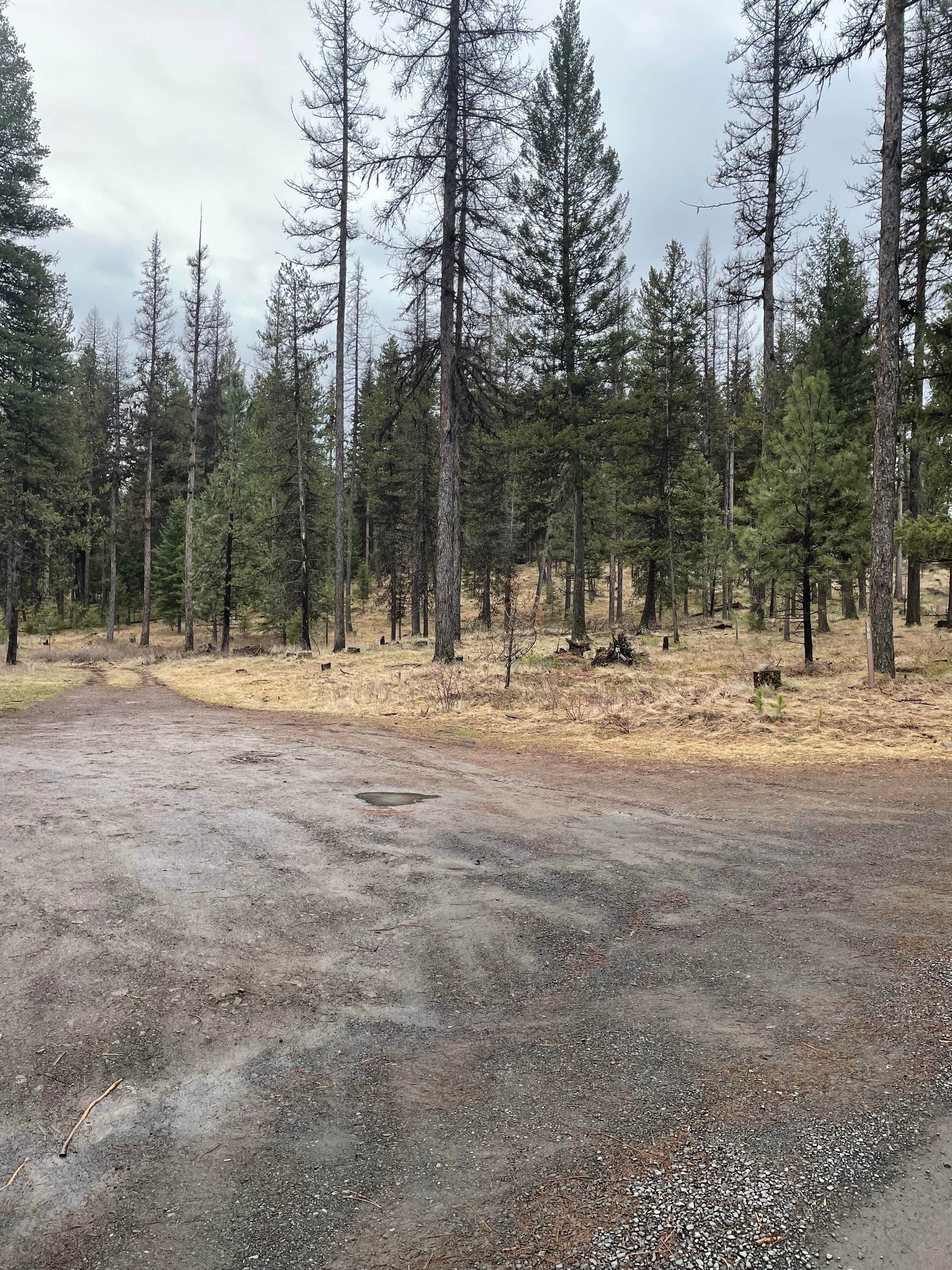 Camper-submitted photo at North of Spring Creek on Forest Road 21 near Island City, OR