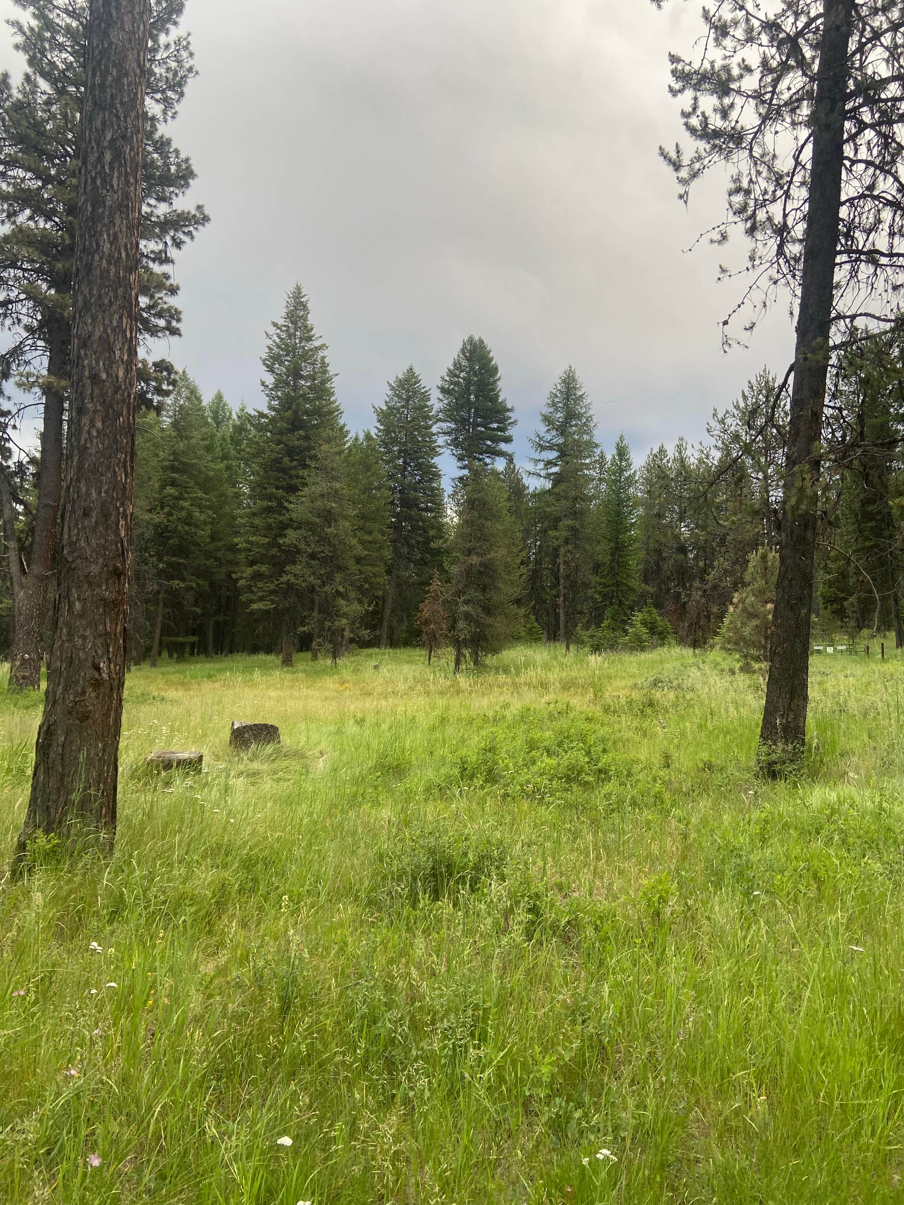 Camping near Morgan Lake - TEMPORARILY CLOSED: North of Spring Creek on Forest Road 21, La Grande, Oregon
