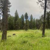 Review photo of North of Spring Creek on Forest Road 21 by Anne S., June 24, 2026