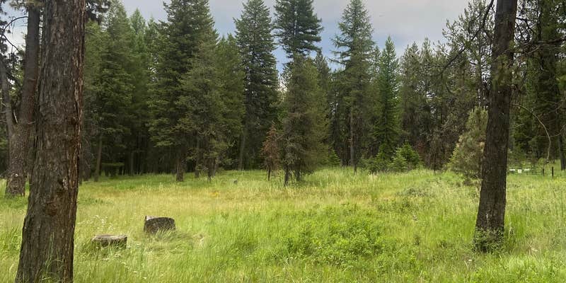 Camper submitted image from North of Spring Creek on Forest Road 21