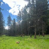 Review photo of North of Spring Creek on Forest Road 21 by Kymberlie D., May 16, 2026