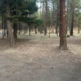 Review photo of North of Spring Creek on Forest Road 21 by Teresa A., October 18, 2026