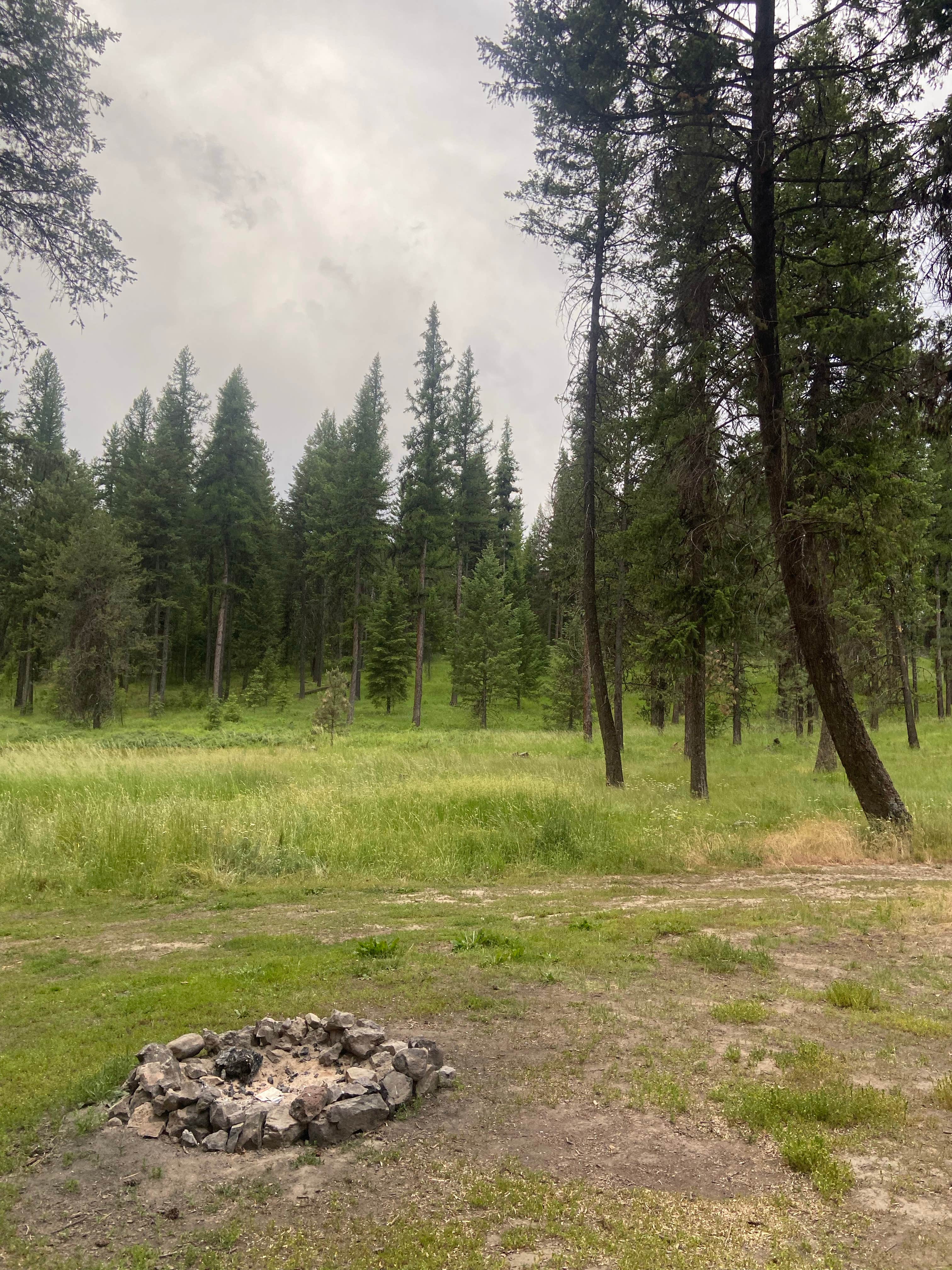 Camper-submitted photo at North of Spring Creek on Forest Road 21 near Bennington Lake