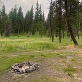 Review photo of North of Spring Creek on Forest Road 21 by Anne S., June 24, 2026