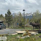 Review photo of North Park Campground by Bill  T., June 9, 2026