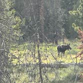 Review photo of North Park Campground by Bill T., June 9, 2026