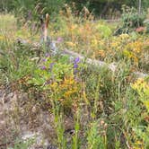 Review photo of North Park Campground — State Forest State Park by Jennifer O., August 10, 2025