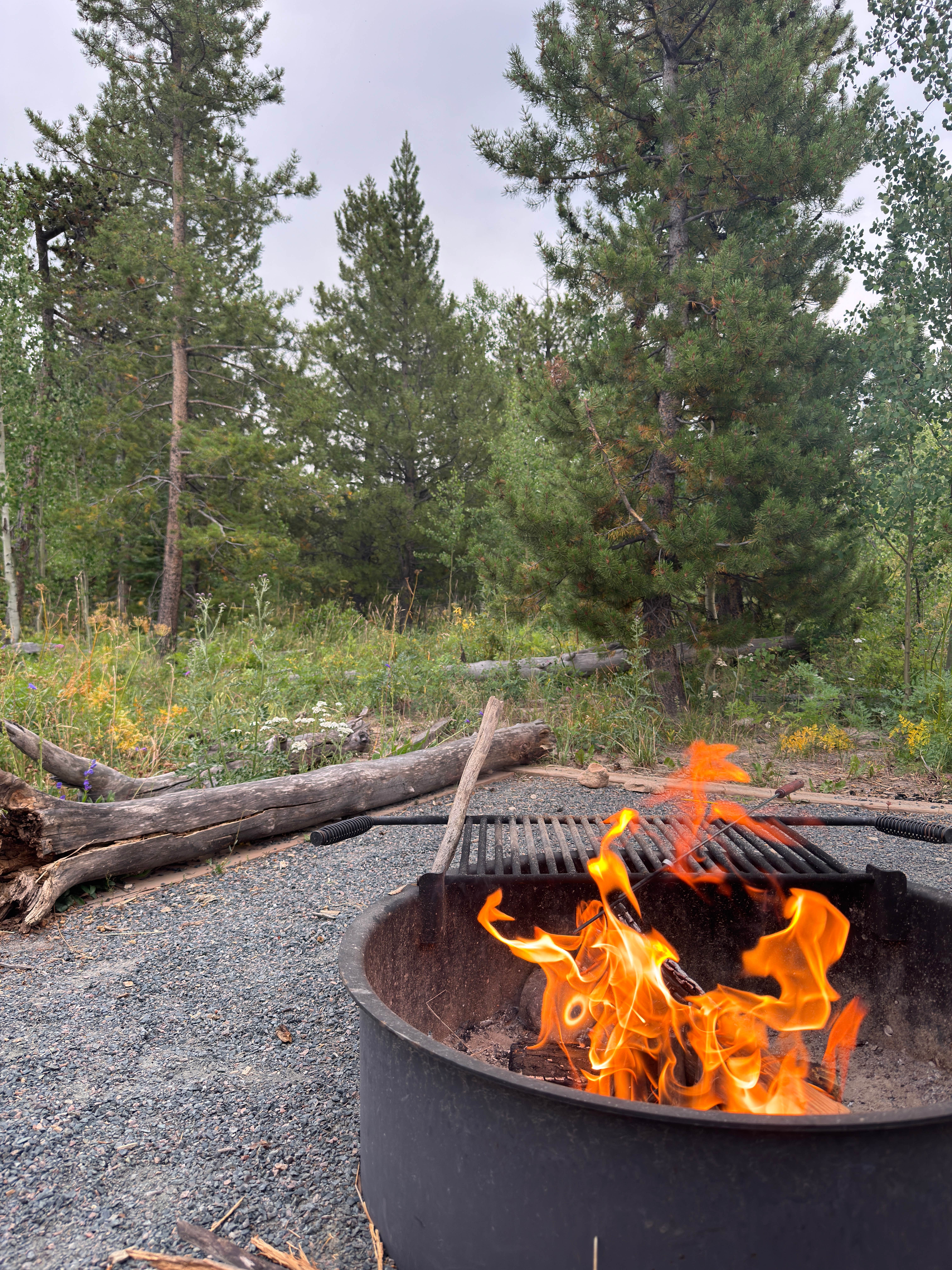 Camping near Vic & Sigrid Hanson Memorial Park: North Park Campground — State Forest State Park, Gould, Colorado