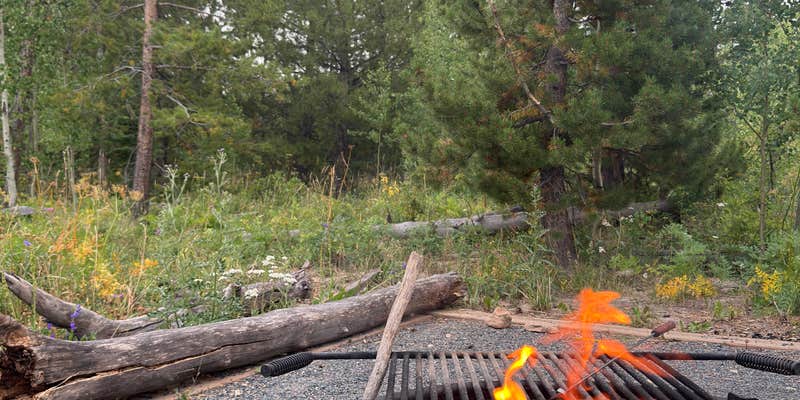 Camper submitted image from North Park Campground — State Forest State Park