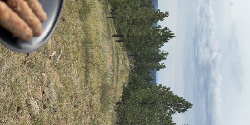 Camper submitted image from north pole rd dispersed camping