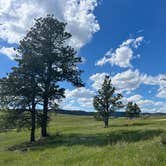 Review photo of North Pole Rd Dispersed Camping by Jo B., June 5, 2026