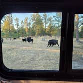Review photo of North Pole Rd Dispersed Camping by Steve D., September 26, 2025