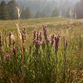 Review photo of North Pole Rd Dispersed Camping by Ashley A., August 11, 2025