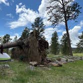 Review photo of North Pole Rd Dispersed Camping by wesley S., June 1, 2026