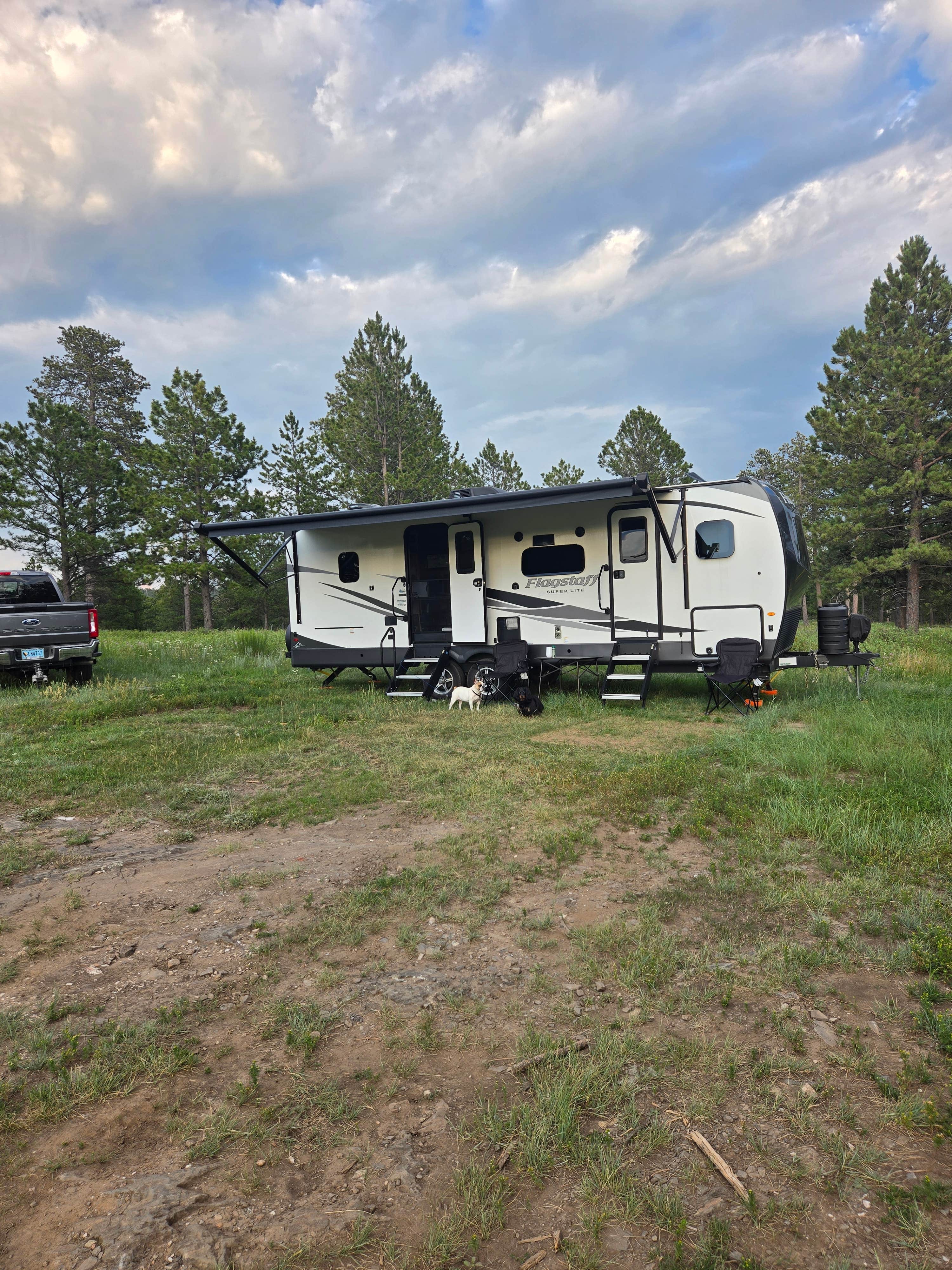Allison D.'s photo of camping with pets at North Pole Rd Dispersed Camping near Black Hills National Forest