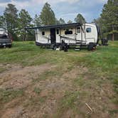 Review photo of North Pole Rd Dispersed Camping by Allison D., August 1, 2025