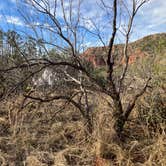 Review photo of North Prong Primitive Campsite Camping Area — Caprock Canyons State Park by Roger W., March 14, 2024