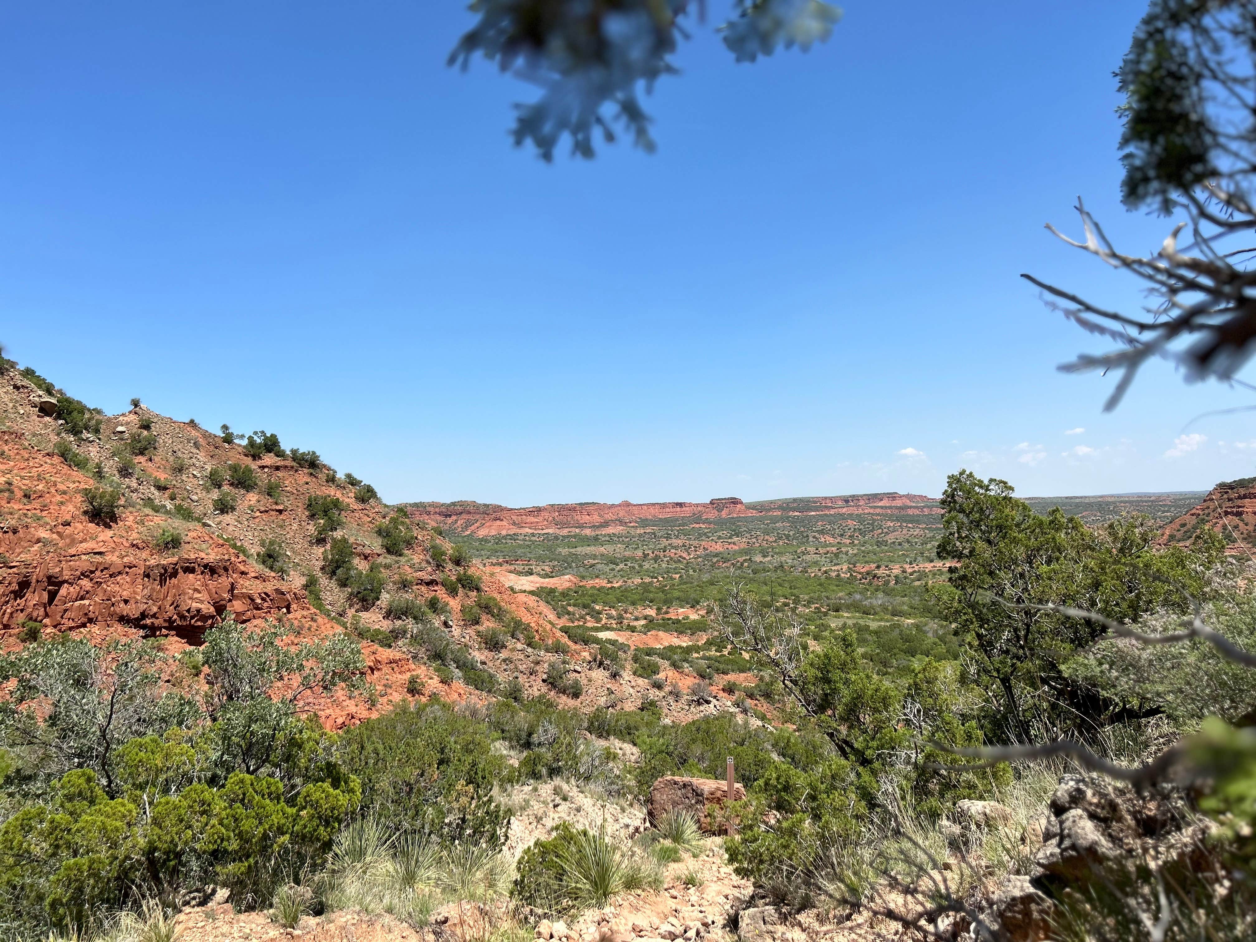 Camper-submitted photo at North Prong Primitive Campsite Camping Area — Caprock Canyons State Park near Estelline, TX