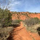 Review photo of North Prong Primitive Campsite Camping Area — Caprock Canyons State Park by Roger W., March 14, 2024