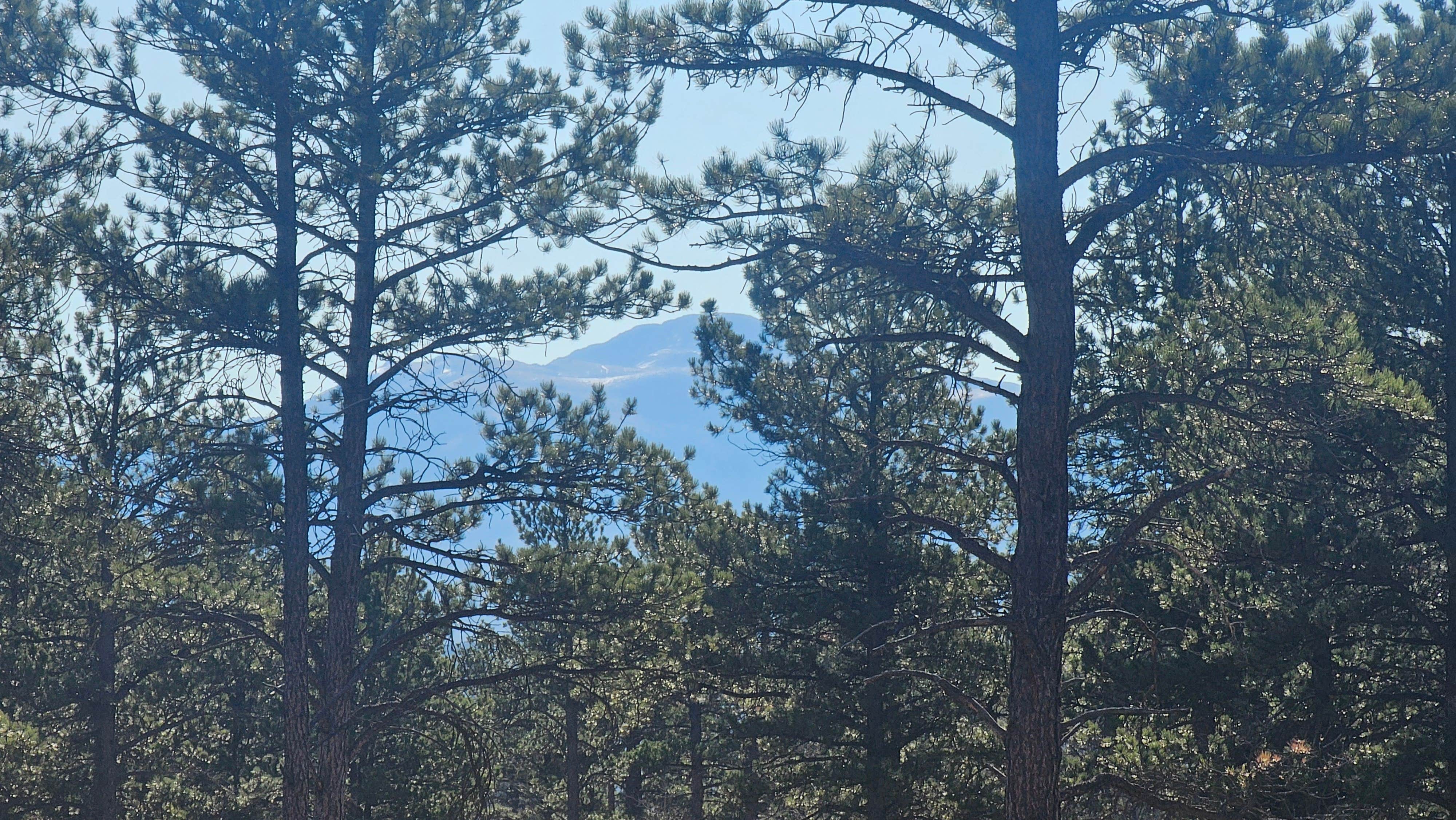 Camper-submitted photo at North Round Mountain near Lake George, CO