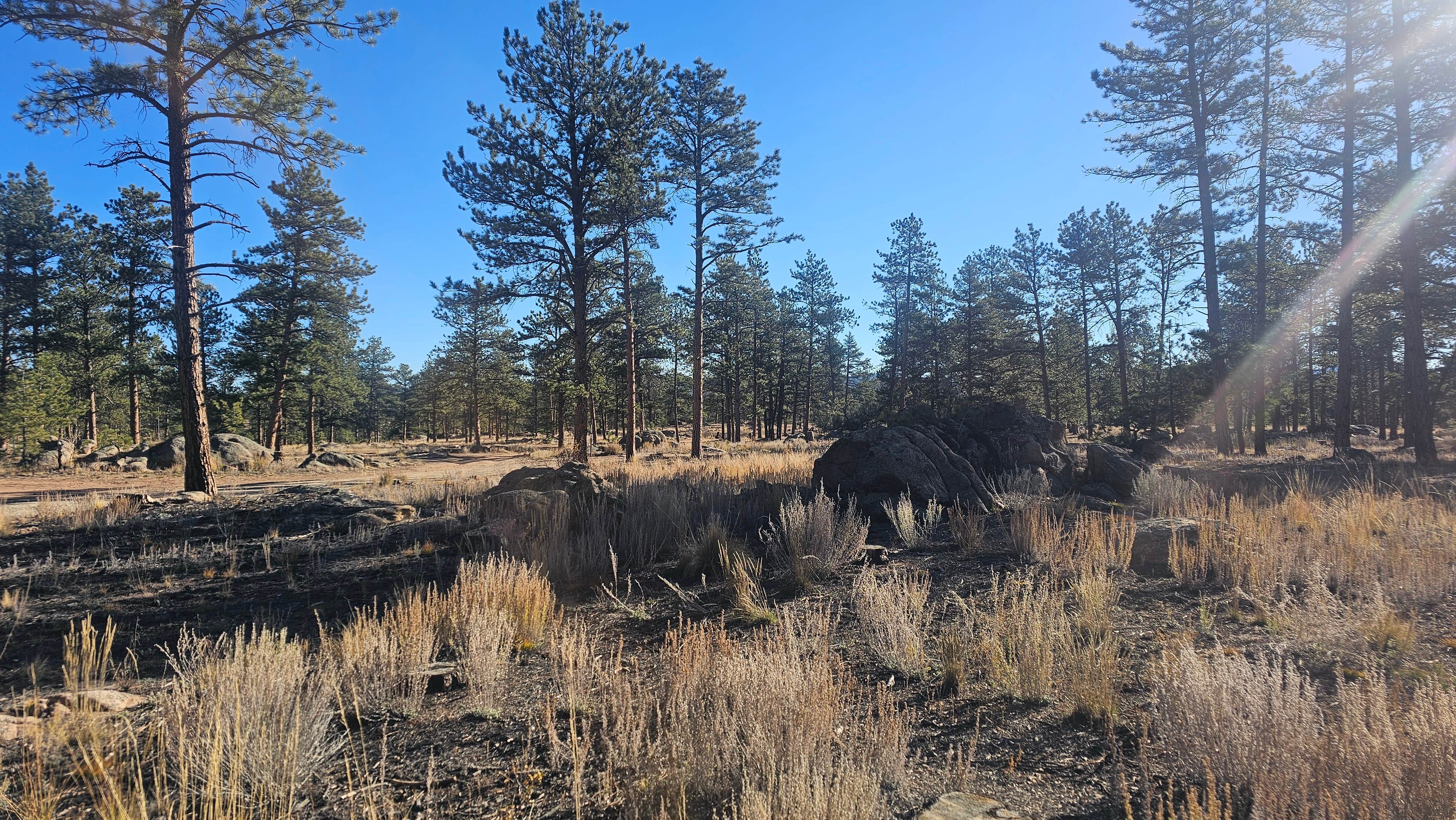 Camper-submitted photo at North Round Mountain near Lake George, CO