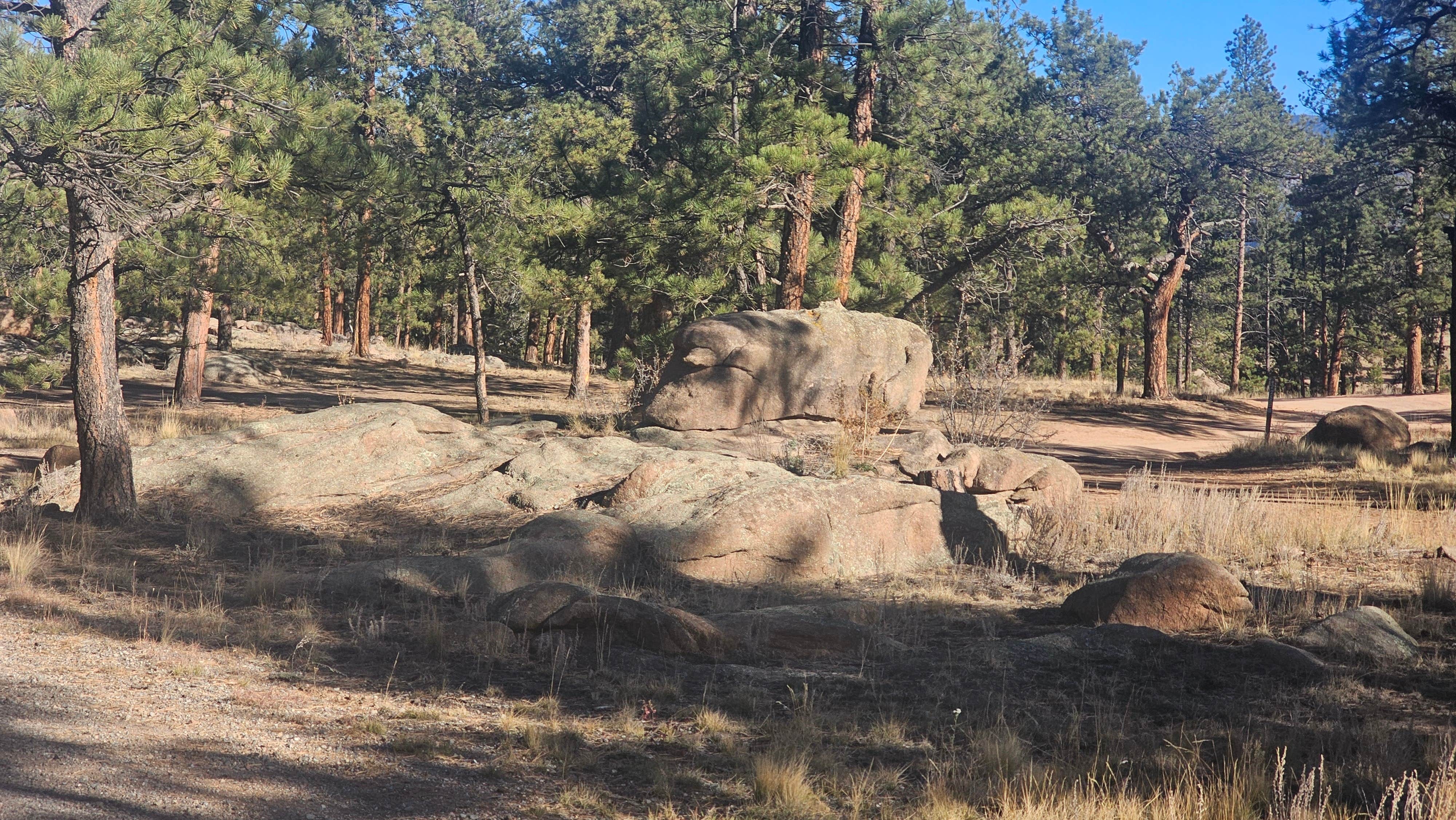 Camper-submitted photo at North Round Mountain near Lake George, CO