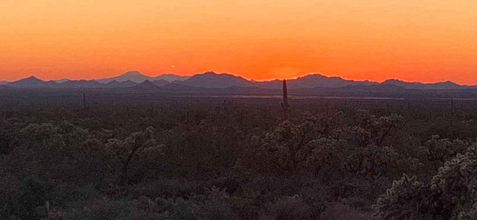 Camper submitted image from North Sandman Road Camp - 1