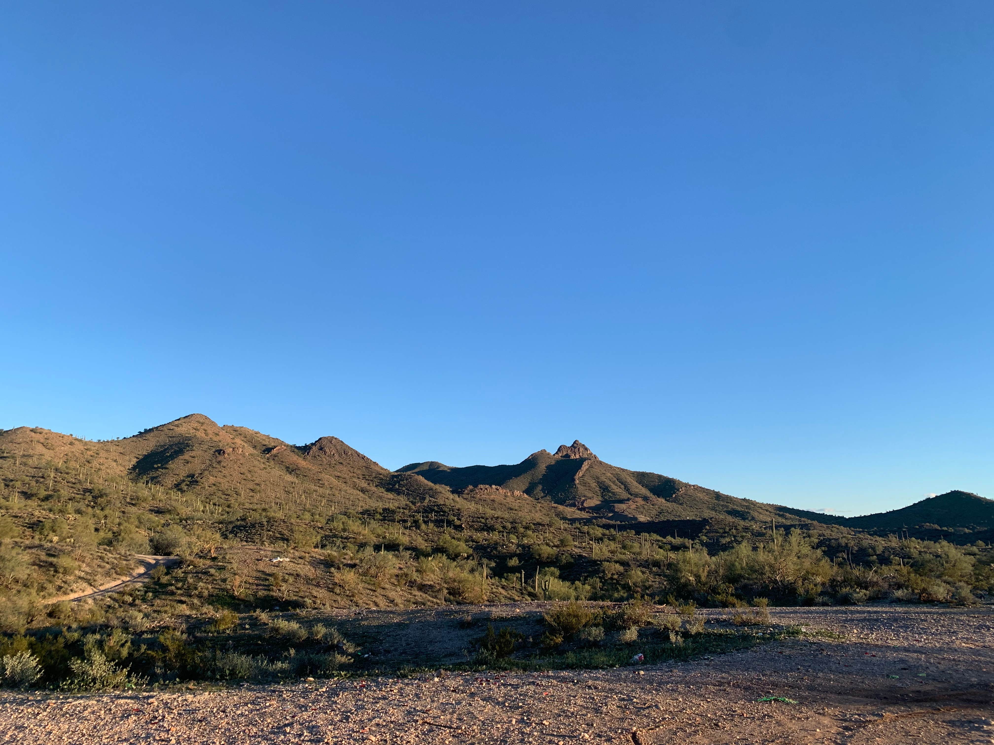 Camper-submitted photo at North Sandman Road Camp near Coolidge, AZ