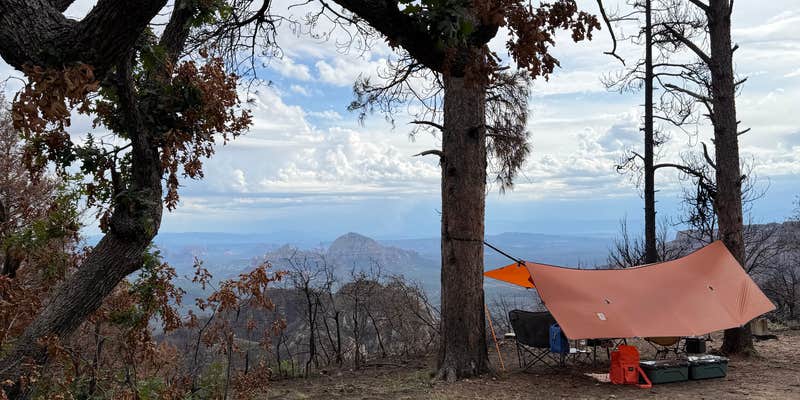 Camper submitted image from North Sedona - West Fork Summit Butte