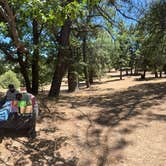 Review photo of North Shore Campground - Lake Almanor by Ivy R., June 19, 2025
