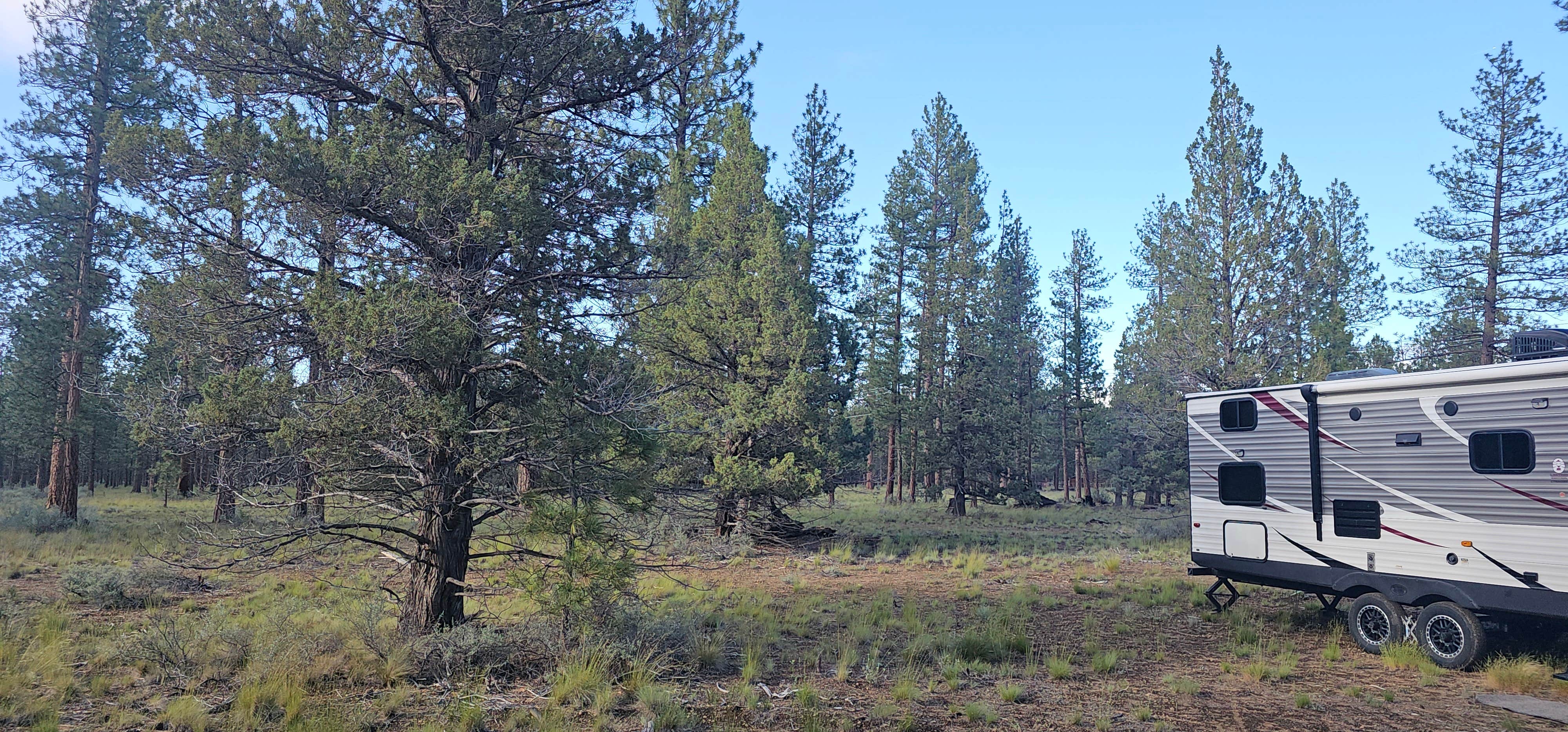 Camping near NF970 - Brasseur's Butte: North Sisters Camp on North Pine Street, Sisters, Oregon