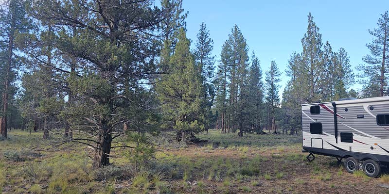 Camper submitted image from North Sisters Camp on North Pine Street