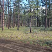 Review photo of North Sisters Camp on North Pine Street by Mike E., May 30, 2026
