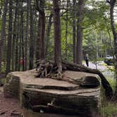 Review photo of North-South Lake Campground by Emily F., August 16, 2024