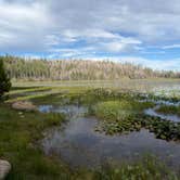 Review photo of North Wilson Lake by Ashleigh Z., June 6, 2026