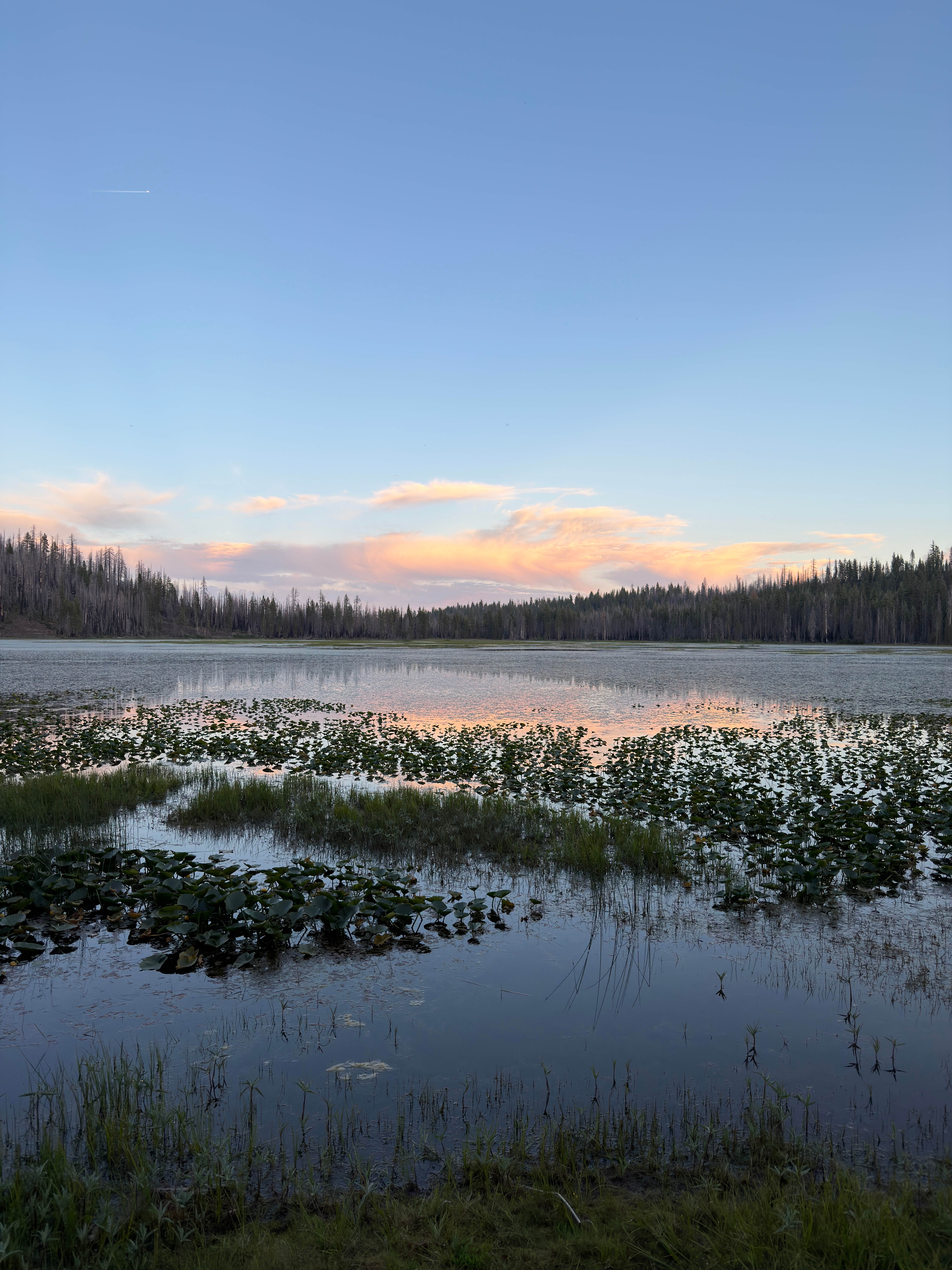 Camping near Perry Riffle Trailhead: North Wilson Lake, Mill Creek, California