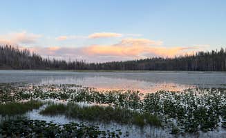 Ashleigh Z.'s photo of a dispersed camping area at North Wilson Lake near Round Mountain, CA