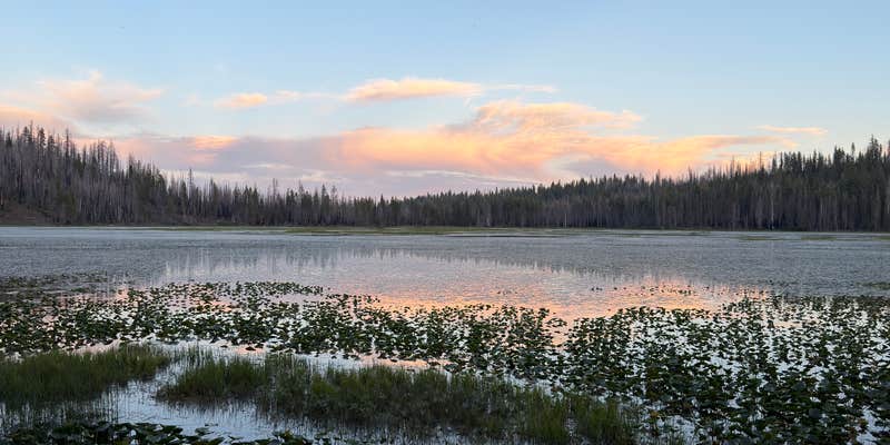 Camper submitted image from North Wilson Lake