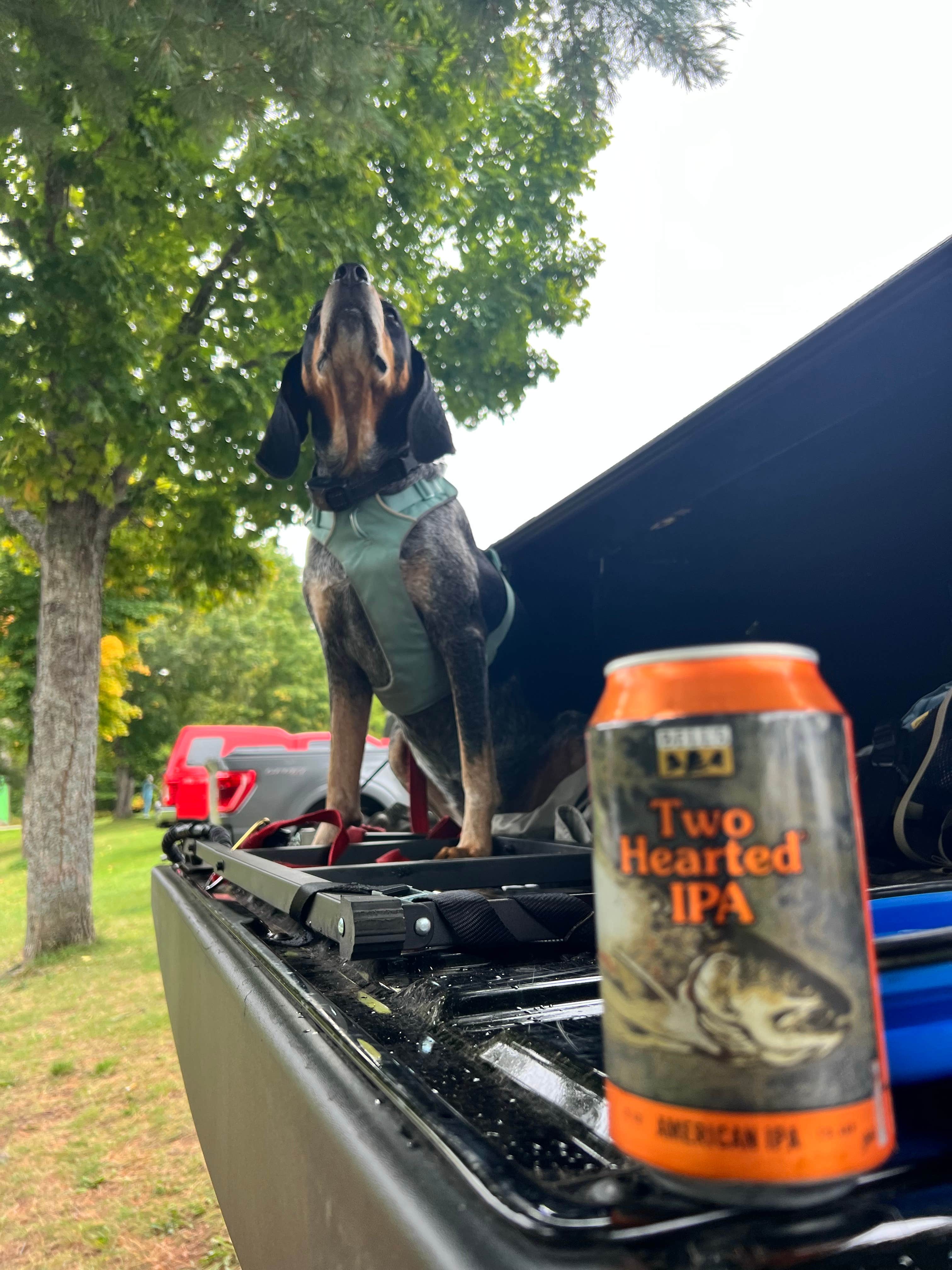 Gerard E.'s photo of camping with pets at Kritter's Northcountry Campground near Grand Marais, MI