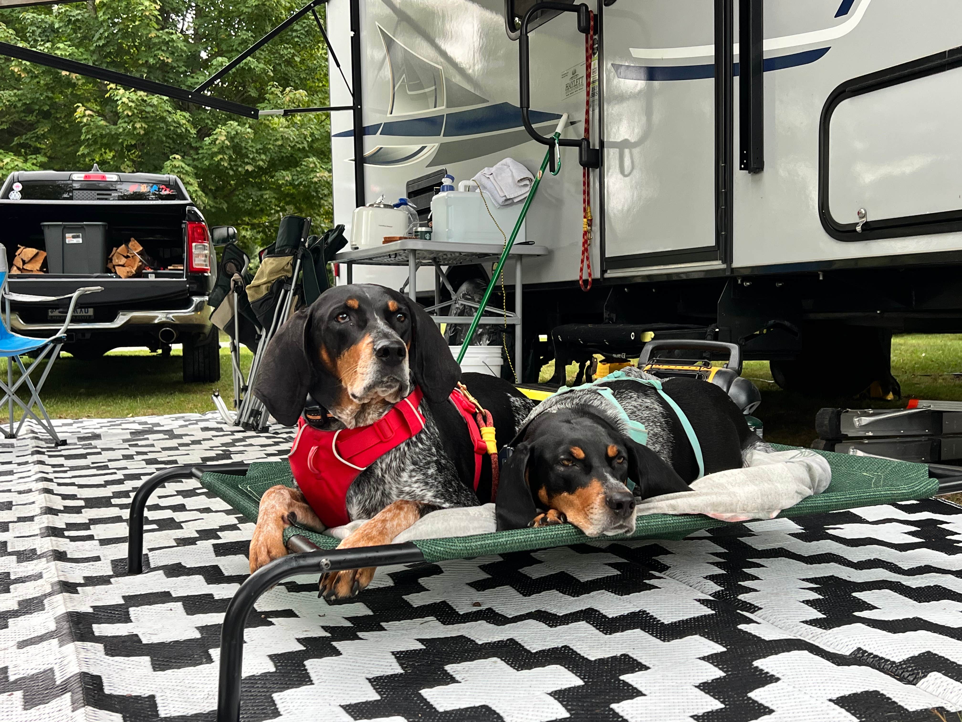 Gerard E.'s photo of camping with pets at Kritter's Northcountry Campground near Paradise, MI