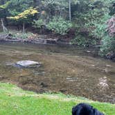 Review photo of Northern Bear Paw RV Park by Colin L., May 29, 2025